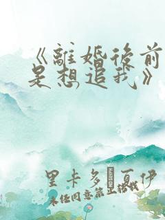 《离婚后前夫总是想追我》