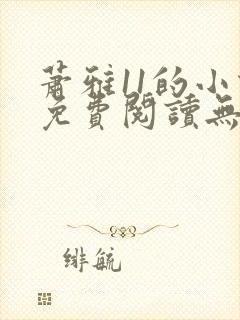 萧雅11的小说免费阅读无弹窗最新章节