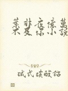 叶非夜亿万星辰不及你小说全文免费阅读