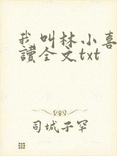 我叫林小喜全阅读全文txt