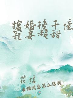 抢婚后千亿总裁宠妻超甜