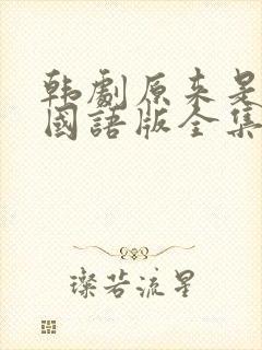 韩剧原来是美男国语版全集