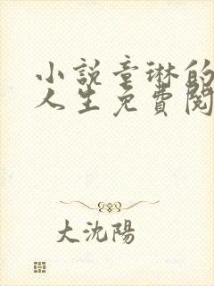 小说章琳的风流人生免费阅读