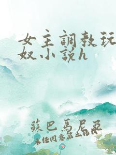 女主调教玩弄男奴小说h