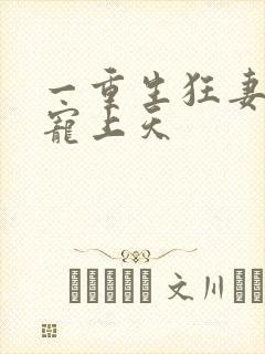 一重生狂妻大佬宠上天