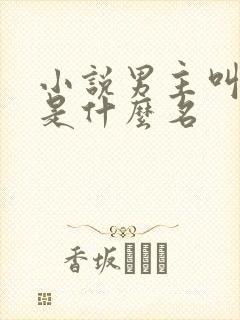 小说男主叫顾远是什么名