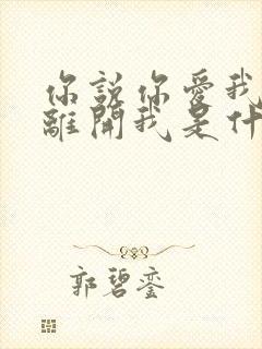 你说你爱我却又离开我是什么歌