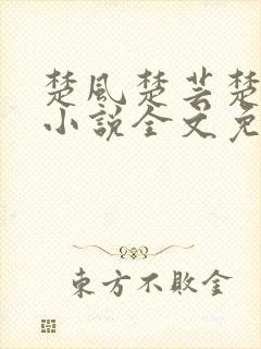 楚风楚芸楚鸿飞小说全文免费阅读