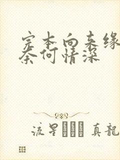 完本向来缘浅,奈何情深