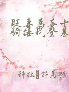 贬妻为妾十万铁骑接我登基短剧免费观看