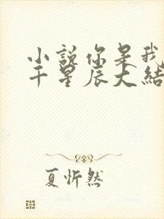 小说你是我的万千星辰大结局