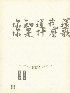 你知道我还想着你是什么歌