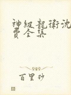 神级龙卫沈浪免费全集