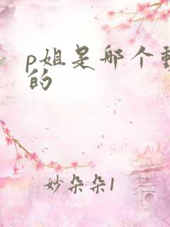 p姐是哪个动漫的