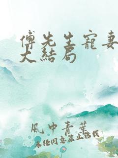 傅先生宠妻无度大结局