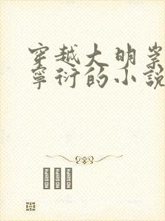 穿越大明崇祯朱宁衍的小说