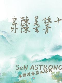 良陈美锦十个番外陈玄青