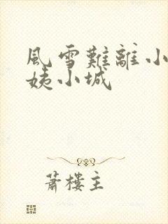 风雪难离小说沈姨小城