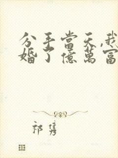 分手当天,我闪婚了亿万富豪全