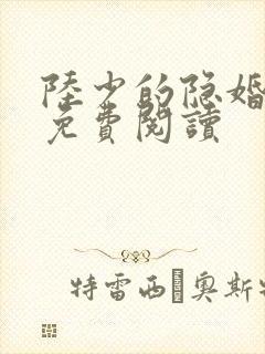 陆少的隐婚罪妻免费阅读