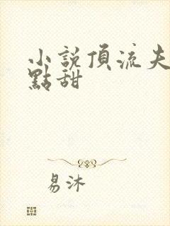 小说顶流夫妇有点甜