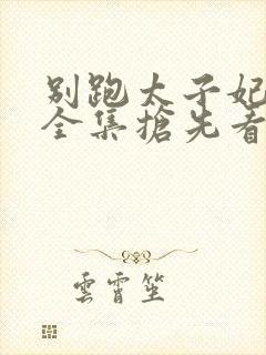 别跑太子妃短剧全集抢先看