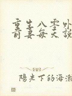 重生八零外交官前妻每天说对不起