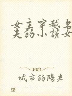 女主穿越名器多夫的小说女主姓苏