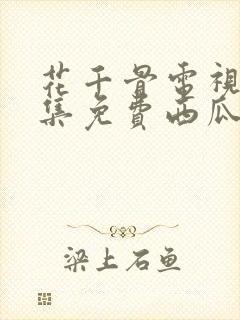 花千骨电视剧全集免费西瓜