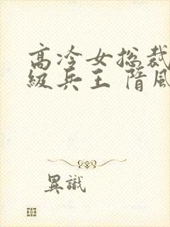 高冷女总裁的超级兵王 隋风天下