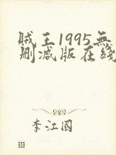 贼王1995无删减版在线观看