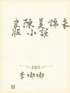 良陈美锦未删减版 小说