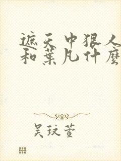 遮天中狠人大帝和叶凡什么关系