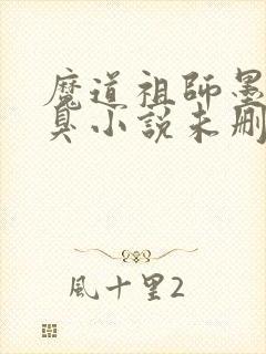 魔道祖师墨香铜臭小说未删减版