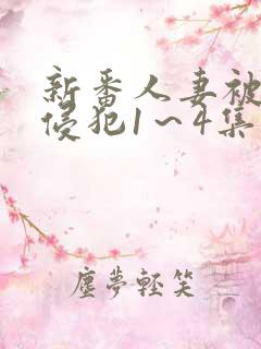 新番人妻被痴汉侵犯1～4集