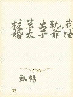 校草出轨,我闪婚太子爷他疯了