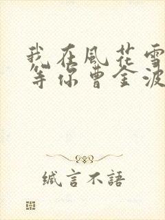 我在风花雪月里等你曹金波结局