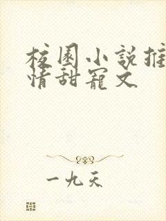 校园小说推荐言情甜宠文