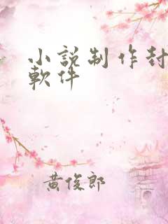 小说制作封面的软件