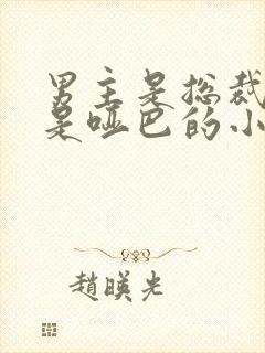 男主是总裁女主是哑巴的小说