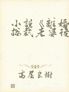 小说《离婚后,总裁老婆后悔了》