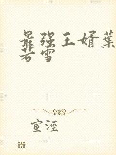 最强王婿叶凡唐若雪