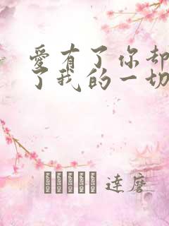 爱有了你却失去了我的一切