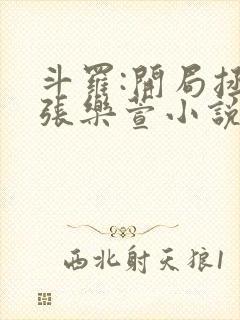 斗罗:开局拯救张乐萱小说完整