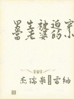 男生被迫穿女装当老婆的小说