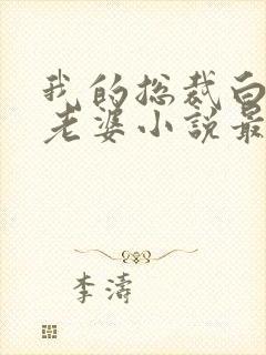 我的总裁白富美老婆小说最新更新