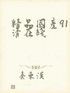 精品国产91高清在线