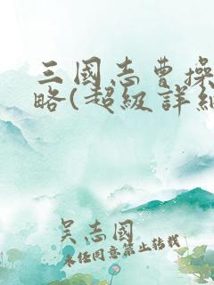 三国志曹操传攻略(超级详细)