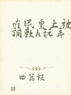 催眠皇上被当众调教h玩弄