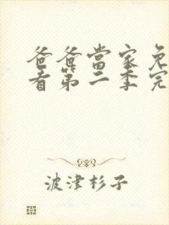 爸爸当家免费观看第二季完整版